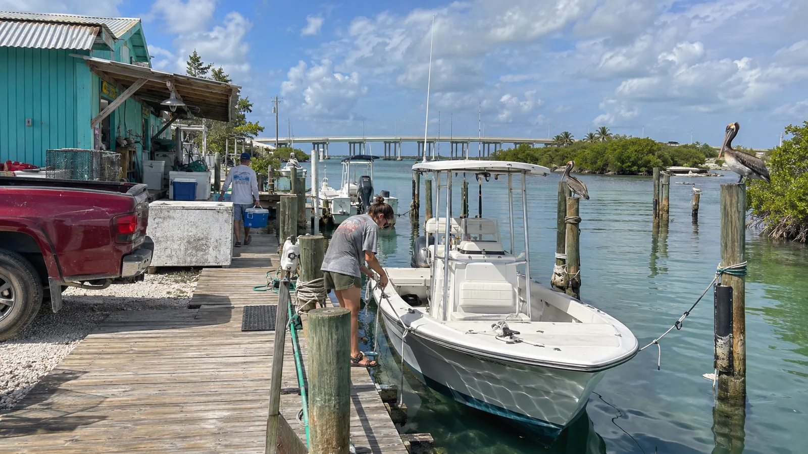 Small fishing boat at a waterfront marina, with pelicans on dock posts